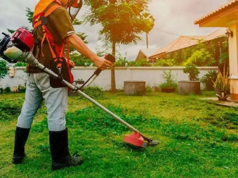 Roçadas e aparação de grama